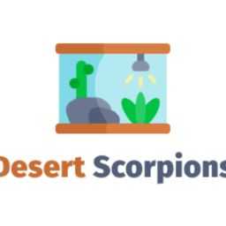 Desert Scorpions